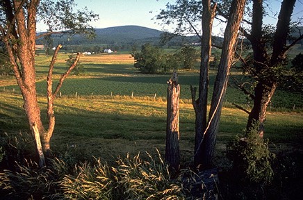 CatoctinMountainFrederickCounty4