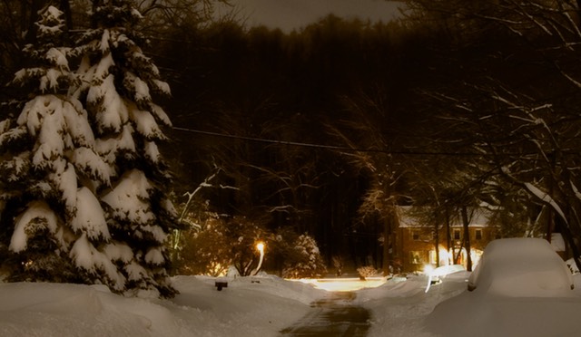 February 2010 Blizzard-0956-2
